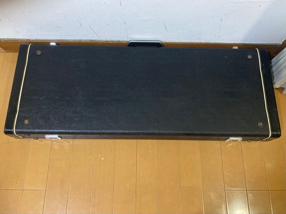 Guyatone グヤ8弦スチールギター　スタンド、ケース付