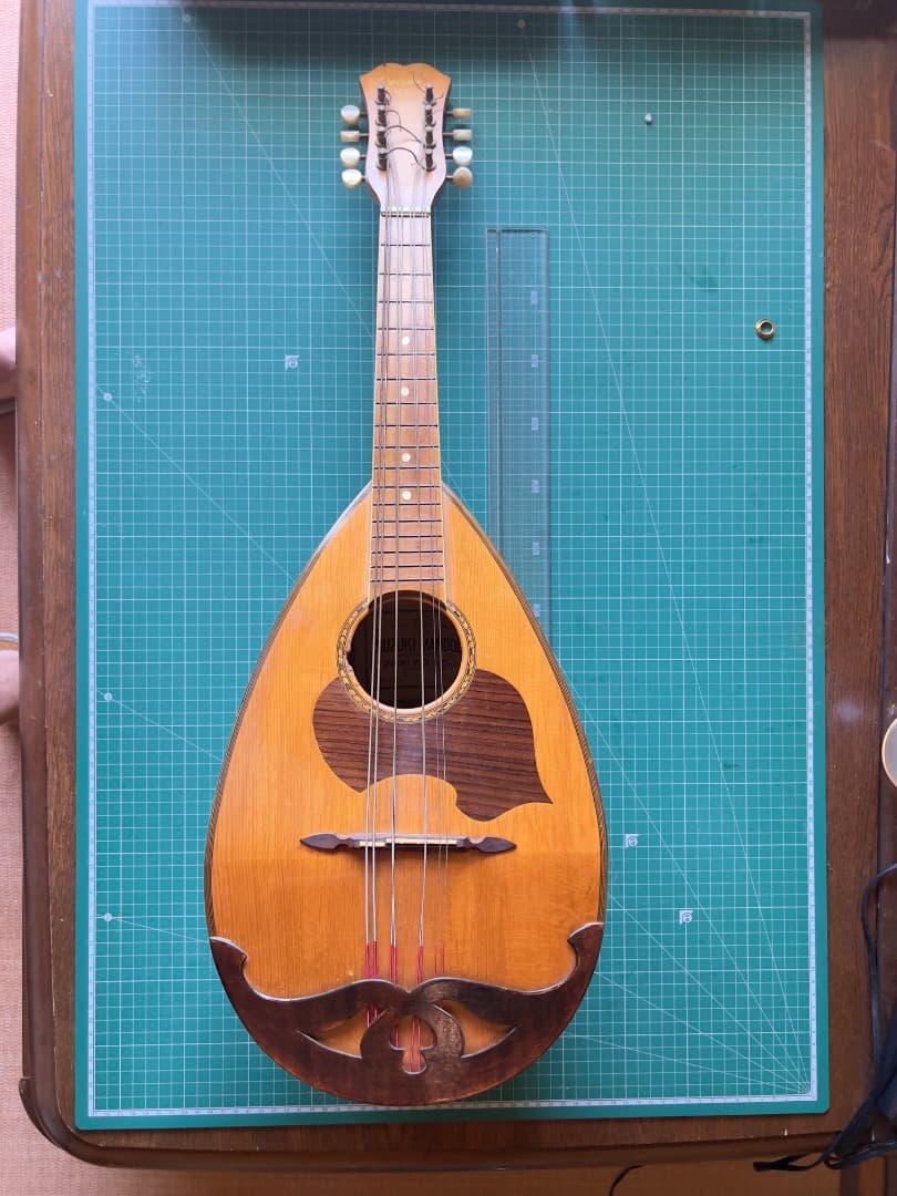 スズキ SUZUKI マンドラ