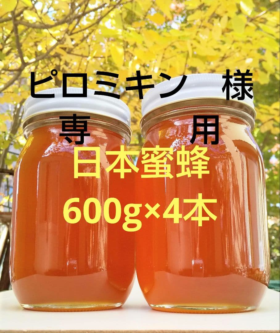 日本蜜蜂 生蜂蜜 ミツバチ 純粋 ニホンみつばち 非加熱 #8 宮城県産