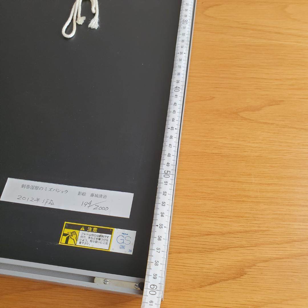 藤城清治 オフセットリト 湿原のミズバショウとこびと 額装 60 正方形 影絵