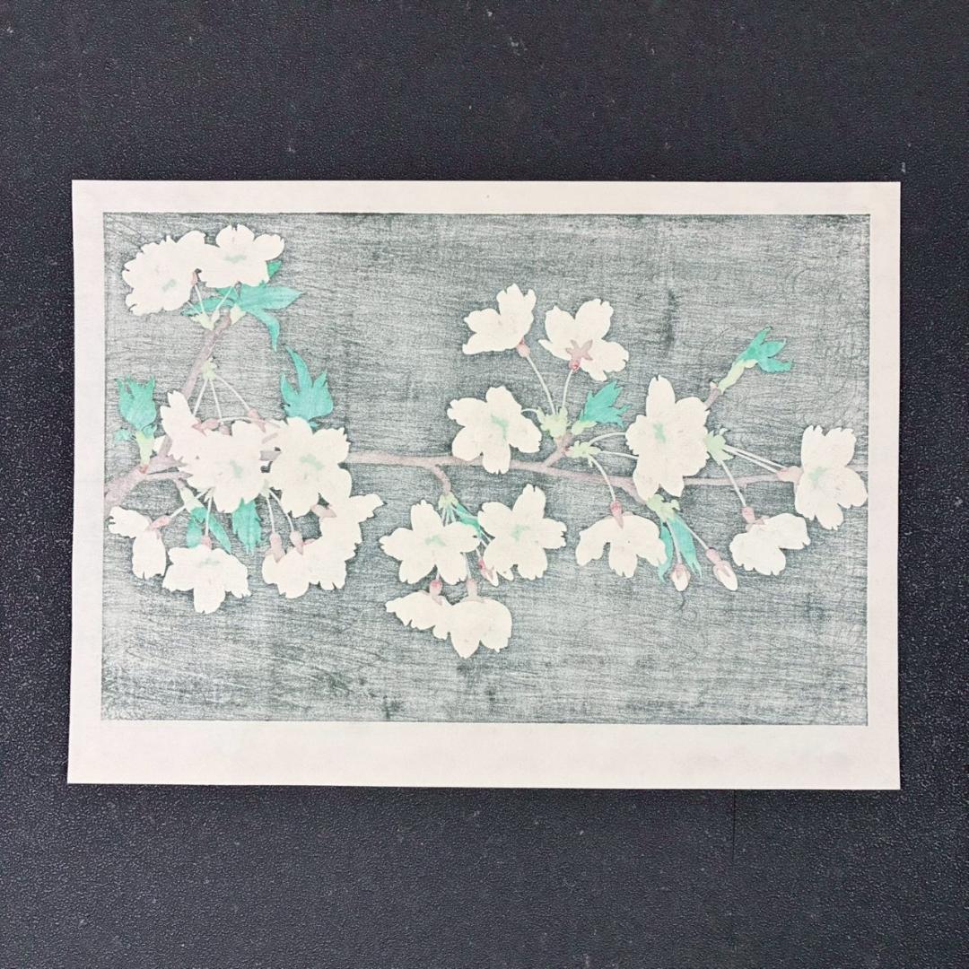 美品 中島千波「櫻花(1)」木版画 直筆サイン・朱印有 アダチ版画研究所 桜