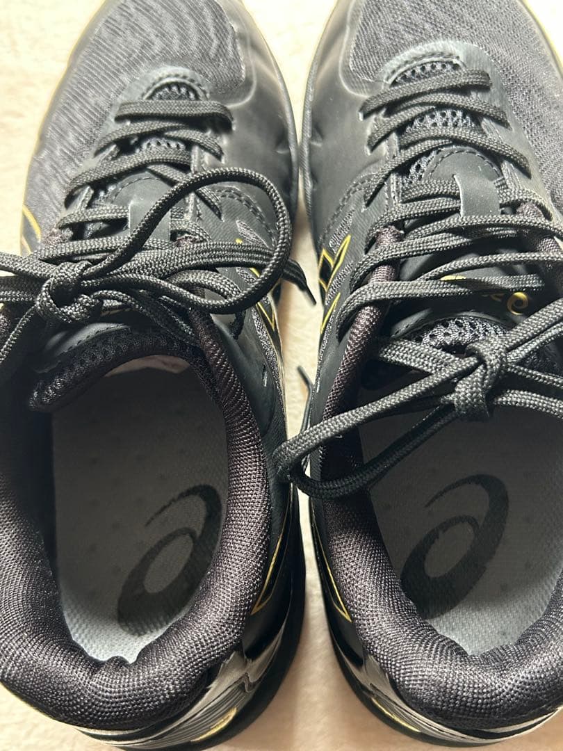 【アシックス】25cm V-SWIFT FF 3 LO エクストラワイド