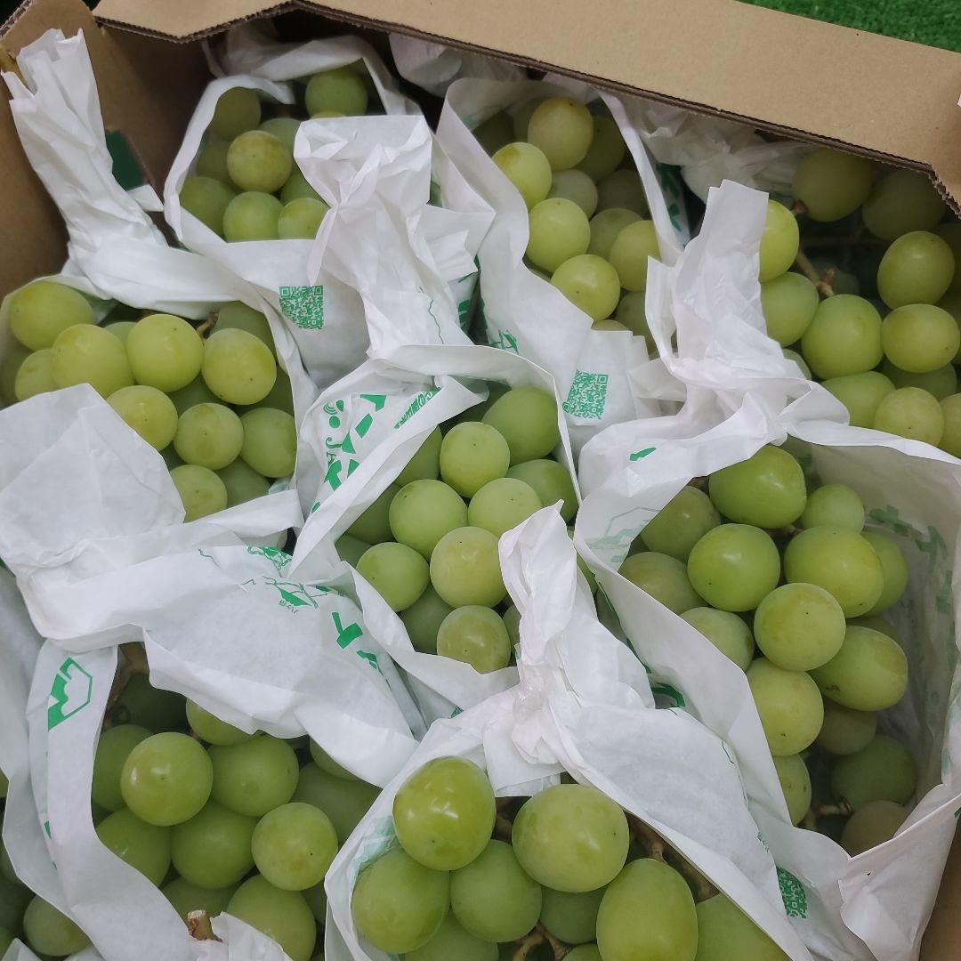 6️⃣ 山梨県産 シャインマスカット １２房入り 箱込み5.6キロ