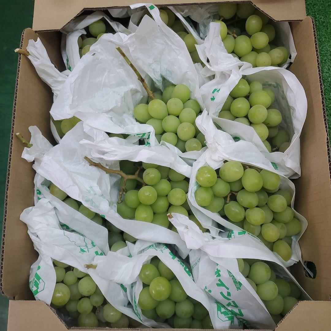 6️⃣ 山梨県産 シャインマスカット １２房入り 箱込み5.6キロ