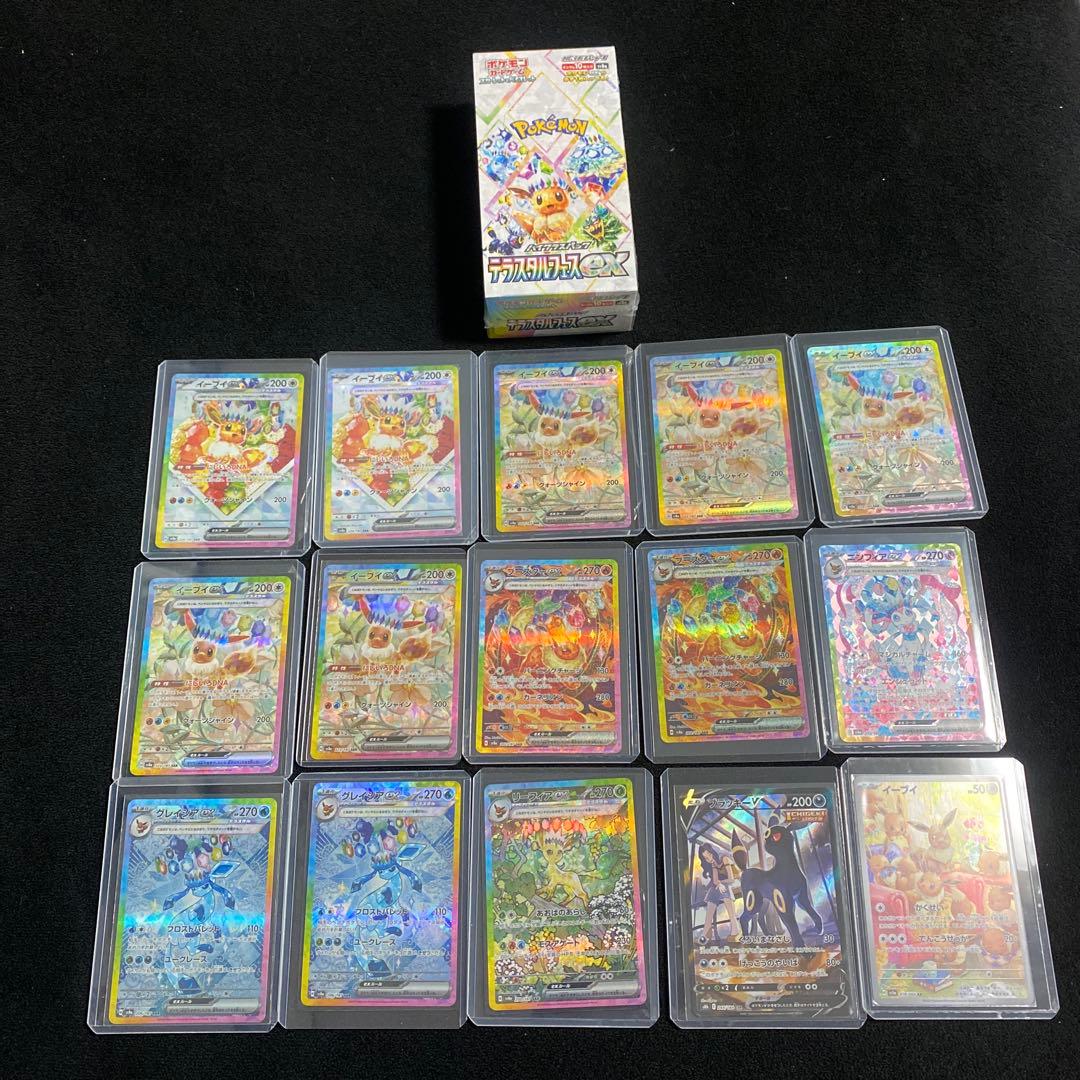 テラスタルフェス未開封BOX➕イーブイsarセット