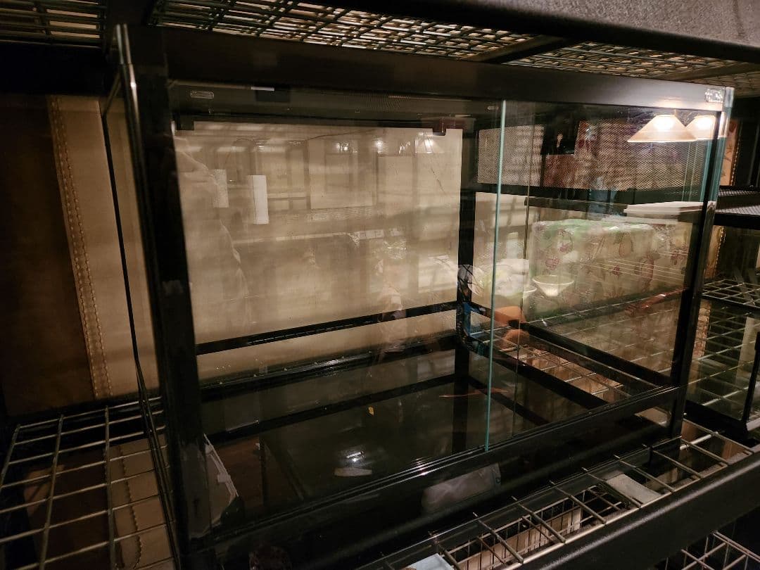 こぬ送料込みパンテオン6045中古1台、マイクロuvb LED1台