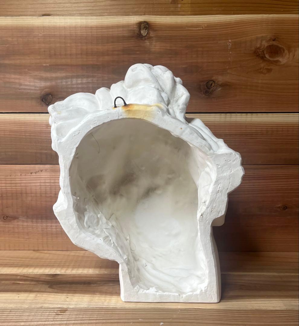 石膏像　アポロ　半面　アポロン　美術 デッサン ギリシャ神話 ヴェルヴェデーレ