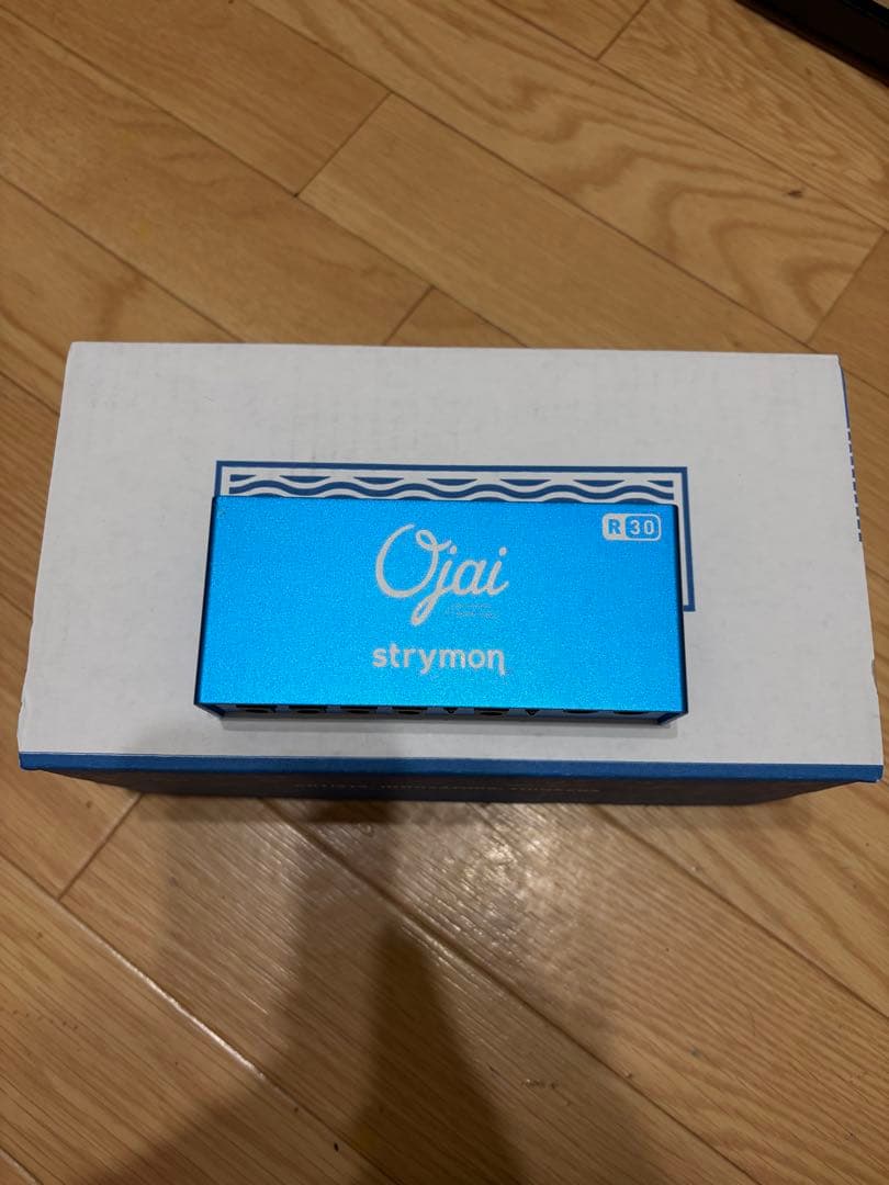 ギター strymon Ojai R30