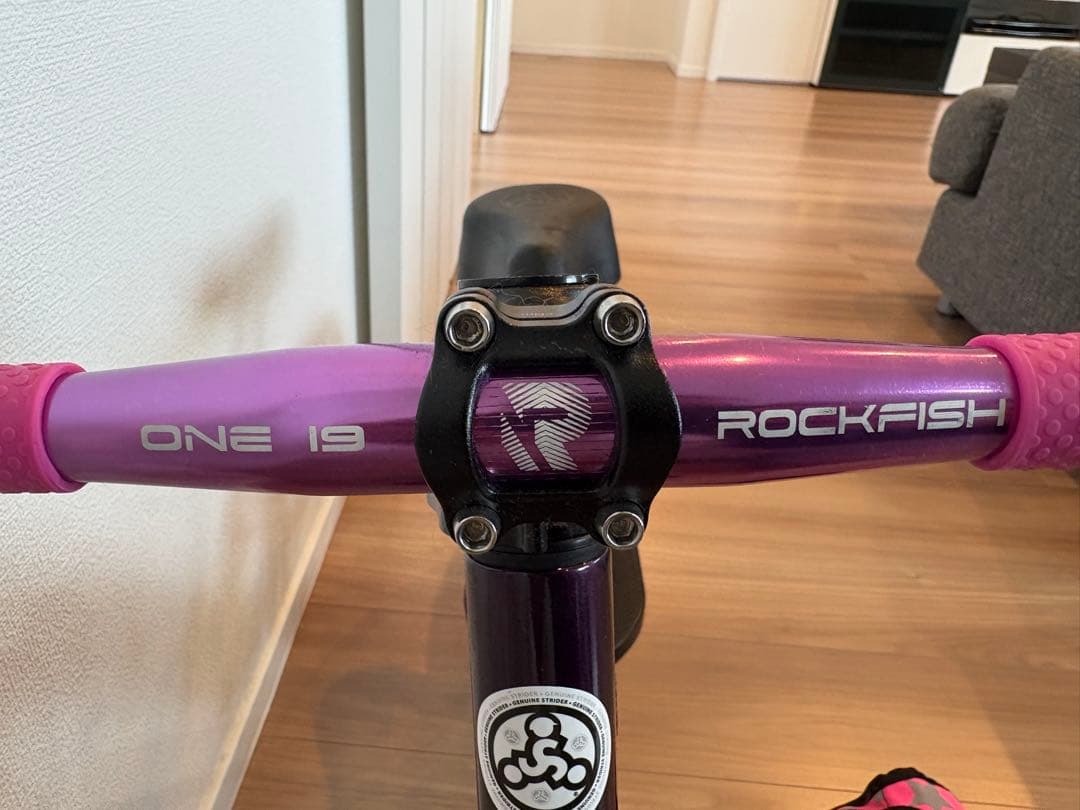 axa！STRIDER PRO ランバイク　カスタム済み