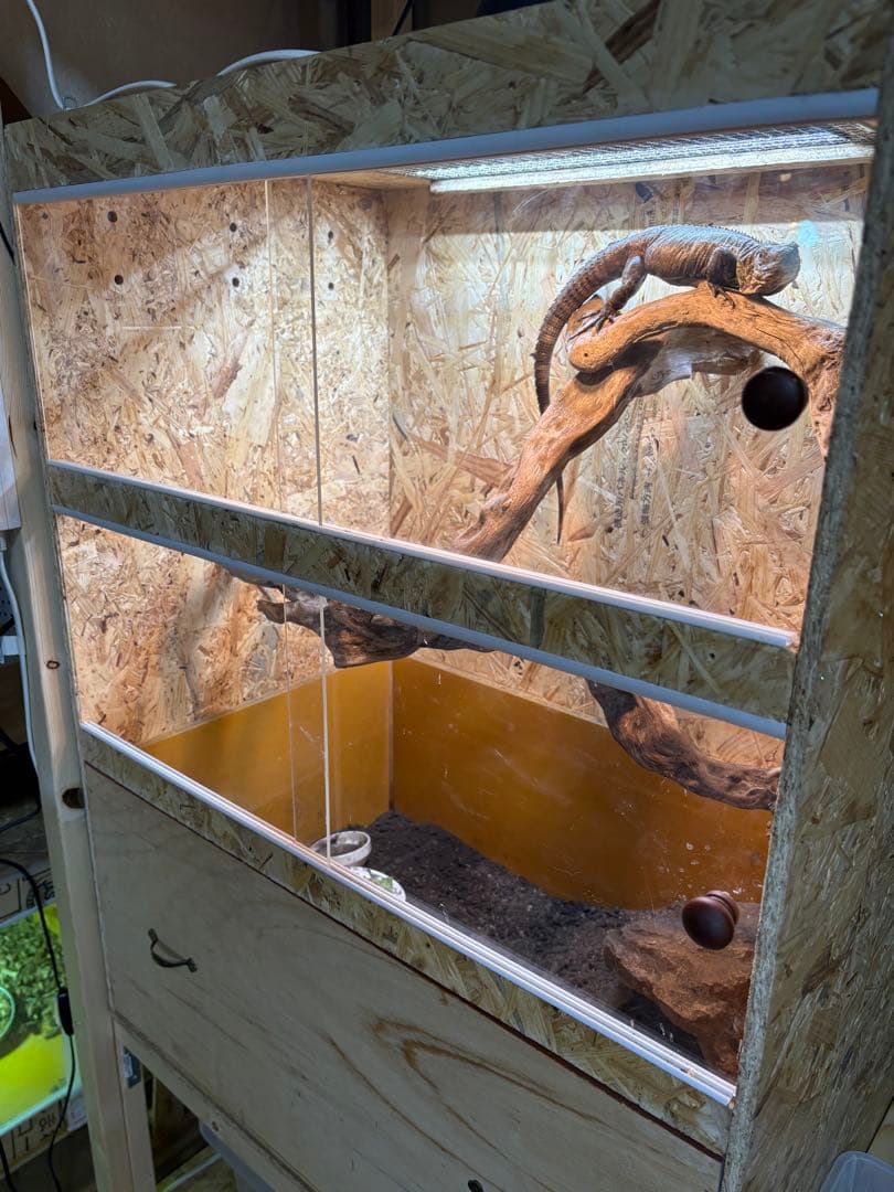 爬虫類ケージ　60×30×30 サイドアクリルタイプ　爬虫類　ケージ ペット