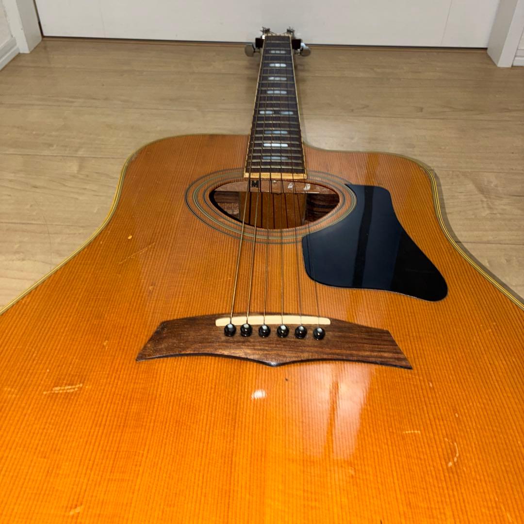 激レア！TF モーリス　MORRIS W-621R schallerペグです