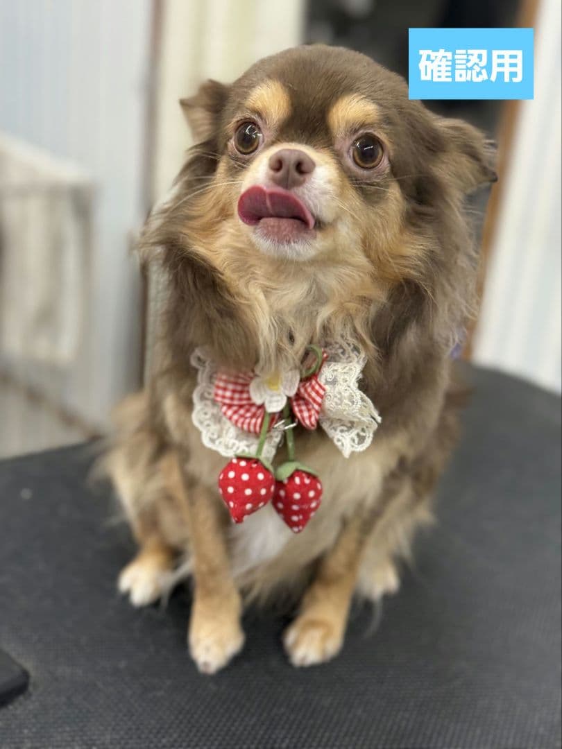 hwara様 ♡ Xmas girls 22´ 10枚 匿名発送