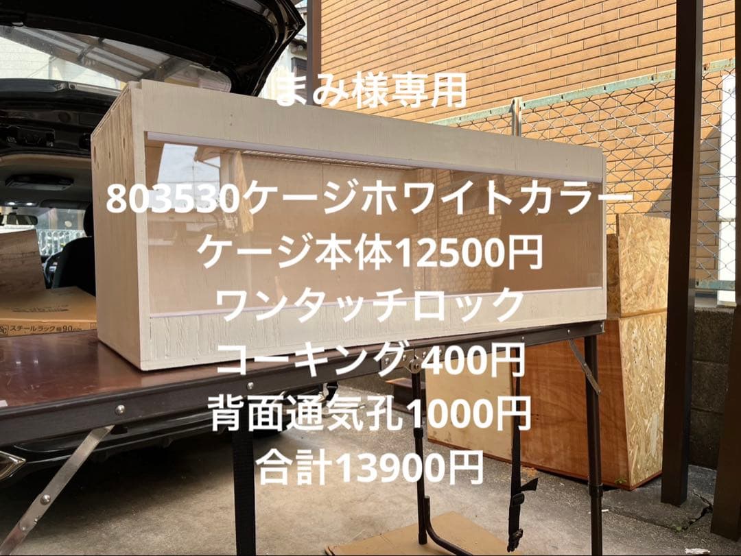 まみ　803530ホワイトカラー