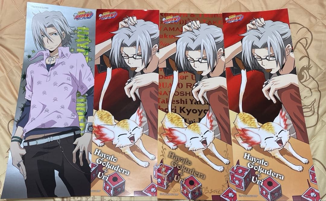 家庭教師ヒットマンREBORN ポスターセット