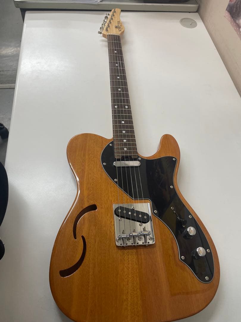 限定生産モデル Schecter OL-PT-TH ホロウボディ