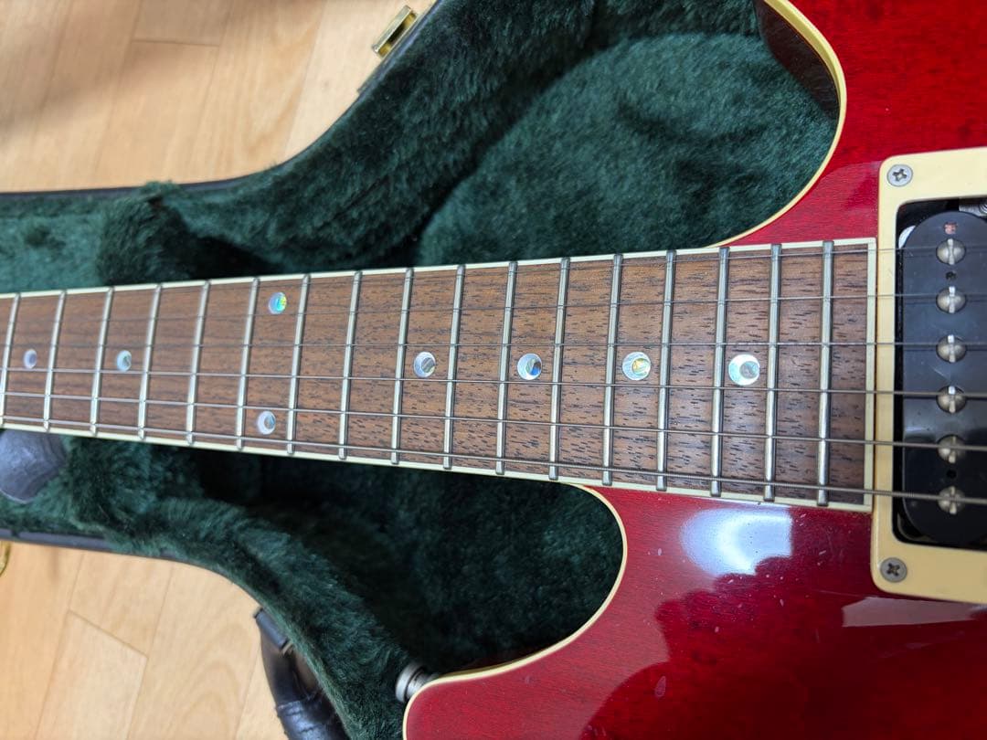 【希少、美品】ESP potbelly TR 専用ハードケース付き