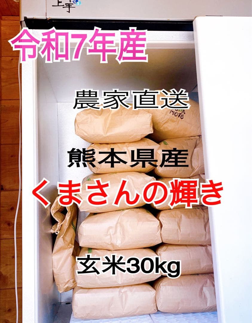 【令和７年産】　熊本県産　くまさんの輝き　30キロ　【玄米】　送料込　新米