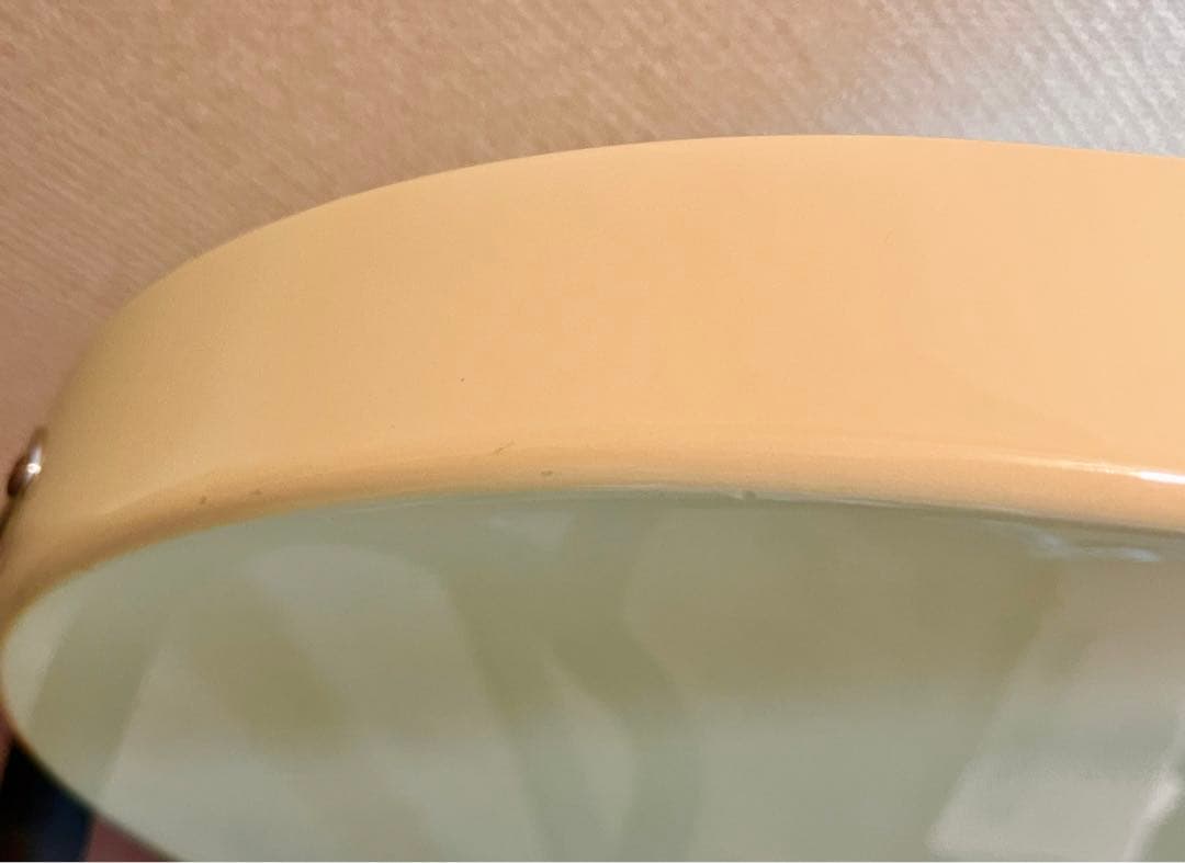 ギター Godin Radiator