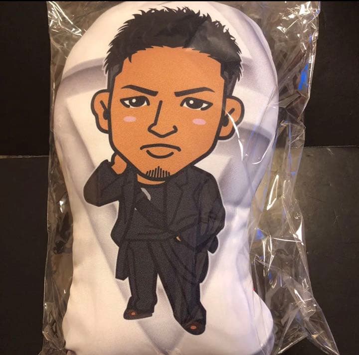 数原龍友　アー写 クッション