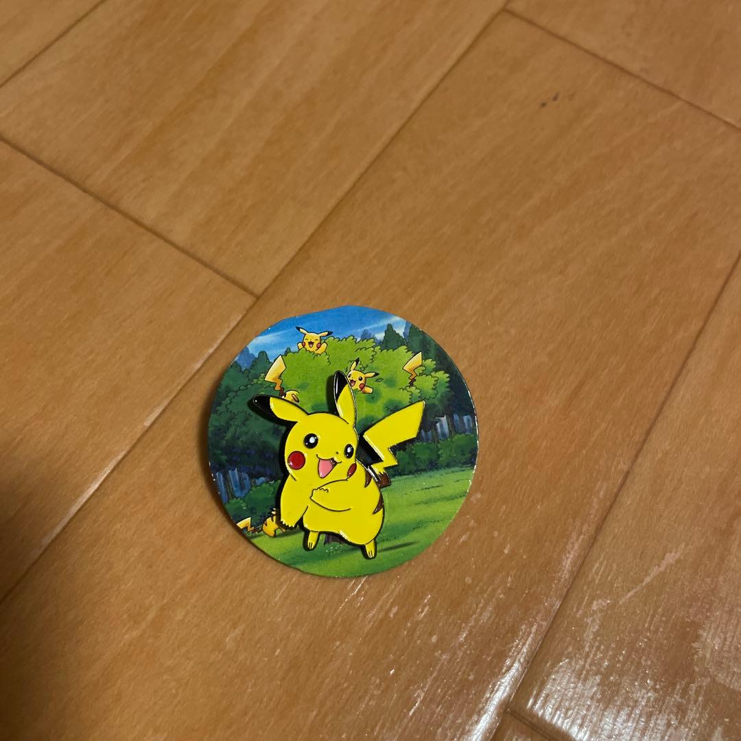 【ポケパーク限定】ポケモン ピンバッジ ピカチュー