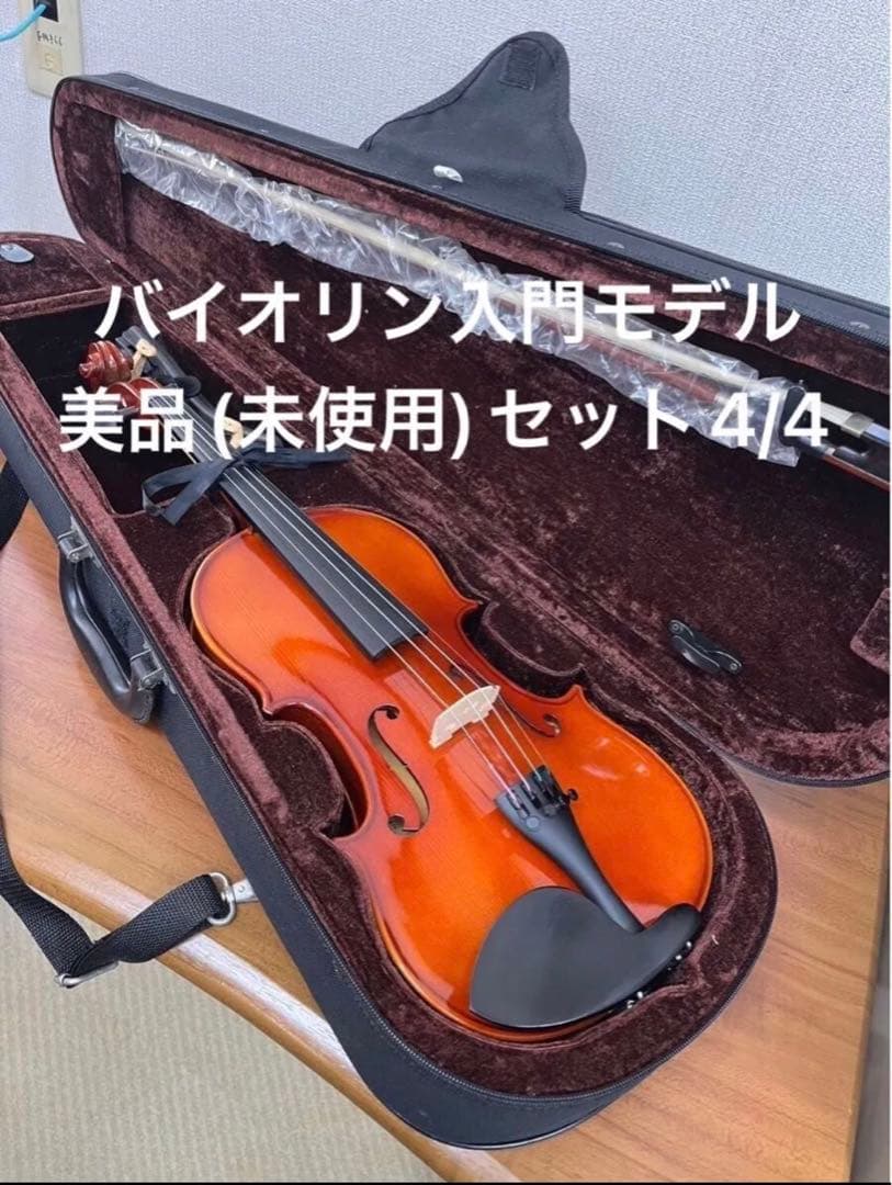 【新品】バイオリン CARLO GIORDANO/VS-1 (4/4サイズ)