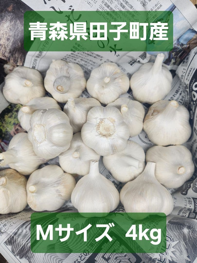 青森県田子町産 にんにく 4kg